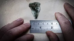 Alaska : le triangle maudit Ville fantôme de la ruée vers l'or