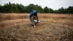 Sur Discovery Channel à 21h00 : Alaska : le triangle maudit