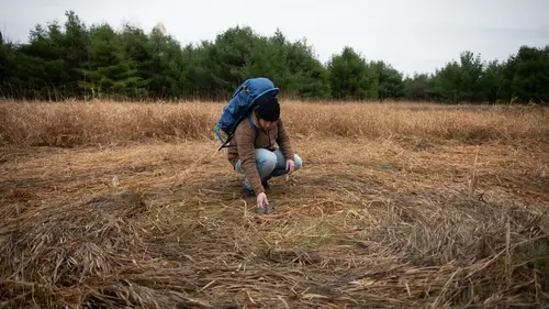 Alaska : le triangle maudit Les OVNI du Triangle