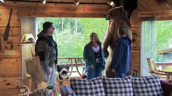 Alaska : maisons à vendre