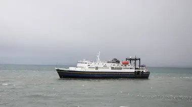 Bêtes de l'Arctique