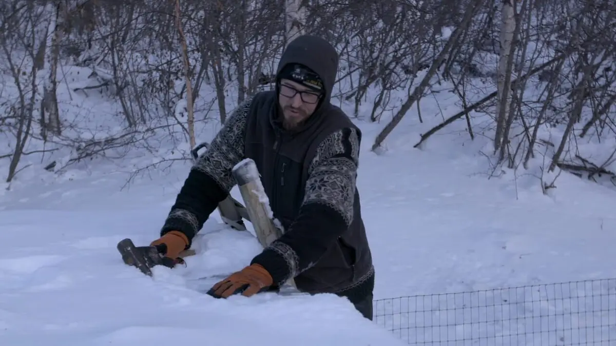 Alaska : nouvelle vie La récolte de glace