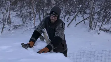 La récolte de glace