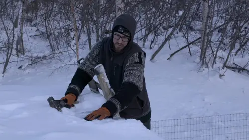 Alaska : nouvelle vie La récolte de glace