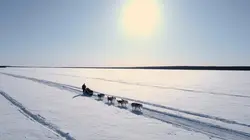 Alaska : nouvelle vie