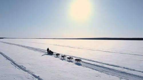 Casting Alaska : nouvelle vie Soleil d'hiver