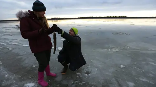 Alaska : nouvelle vie Territoires inexplorés