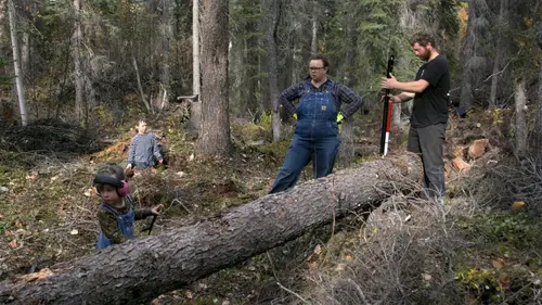 Alaska : nouvelle vie Nouveaux projets