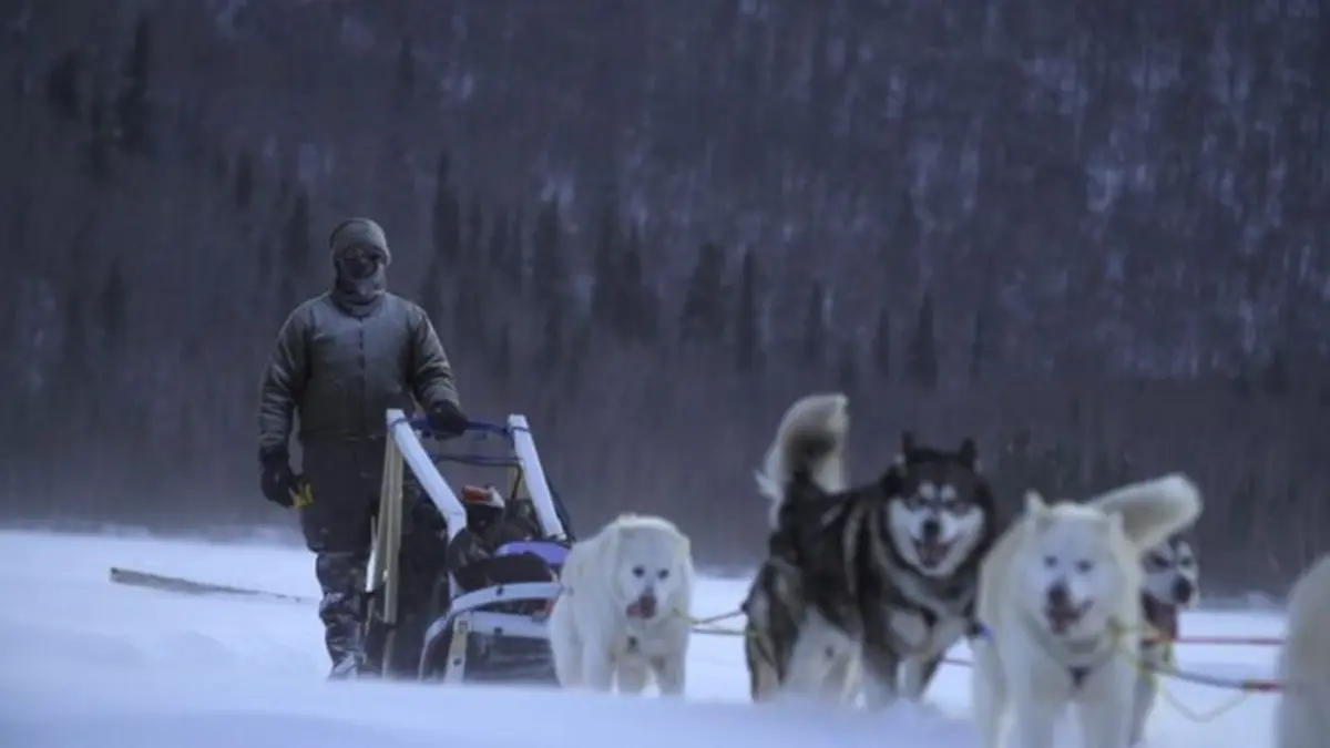 Alaska : nouvelle vie Affaire à suivre