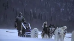 Alaska : nouvelle vie Affaire à suivre