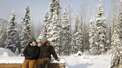 Visuel de Alaska : nouvelle vie