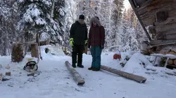 Visuel de Alaska : nouvelle vie