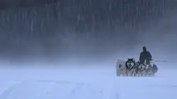 Visuel de Alaska : nouvelle vie