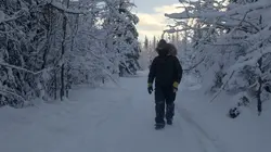 Visuel de Alaska : nouvelle vie