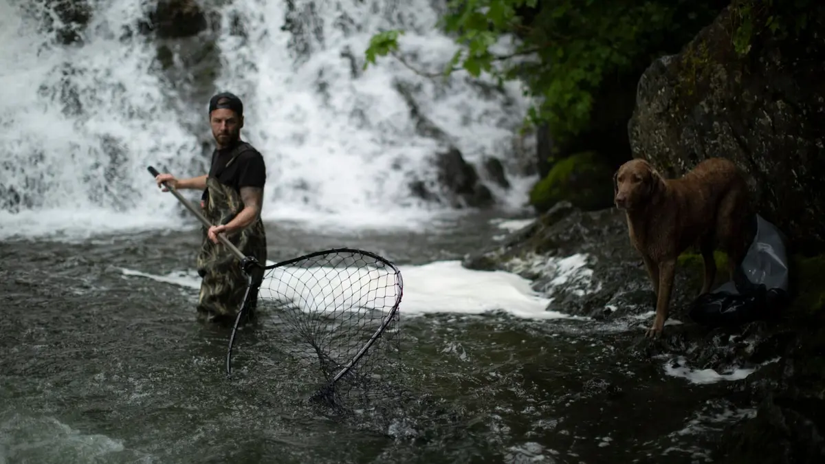 Alaska : nouvelle vie Trésor sauvage