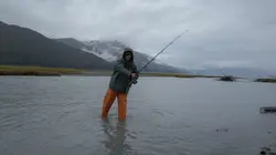 Visuel de Alaska : nouvelle vie
