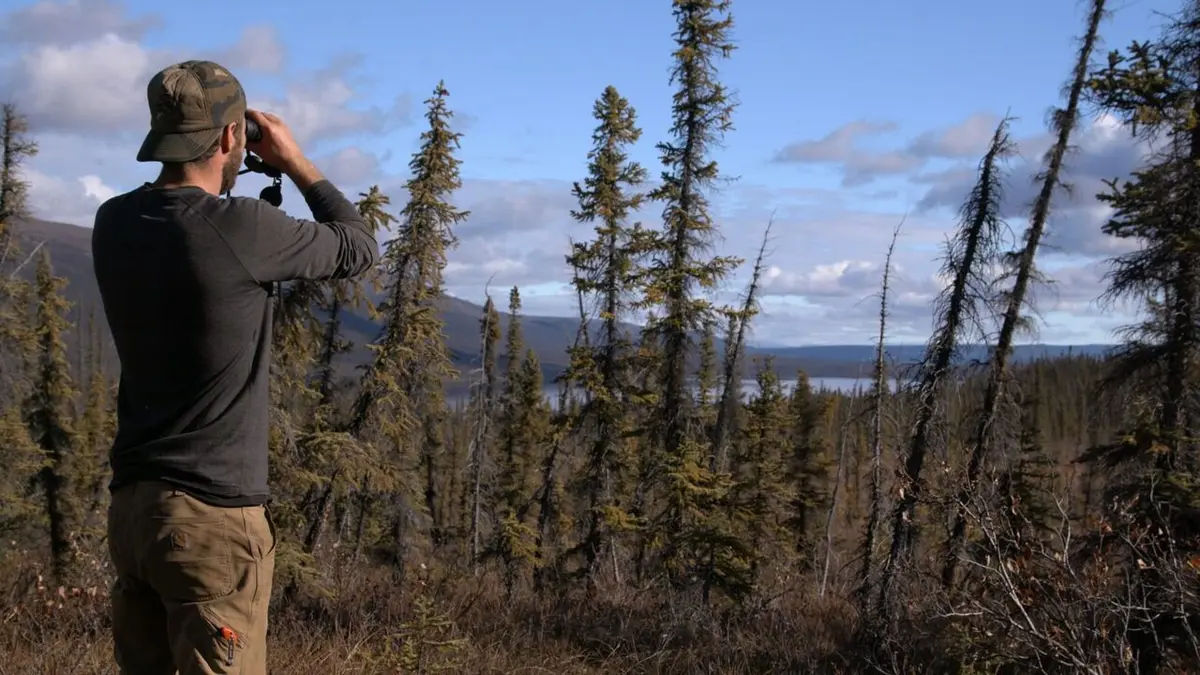 Alaska : nouvelle vie Tenace rapace