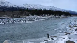 Visuel de Alaska : nouvelle vie
