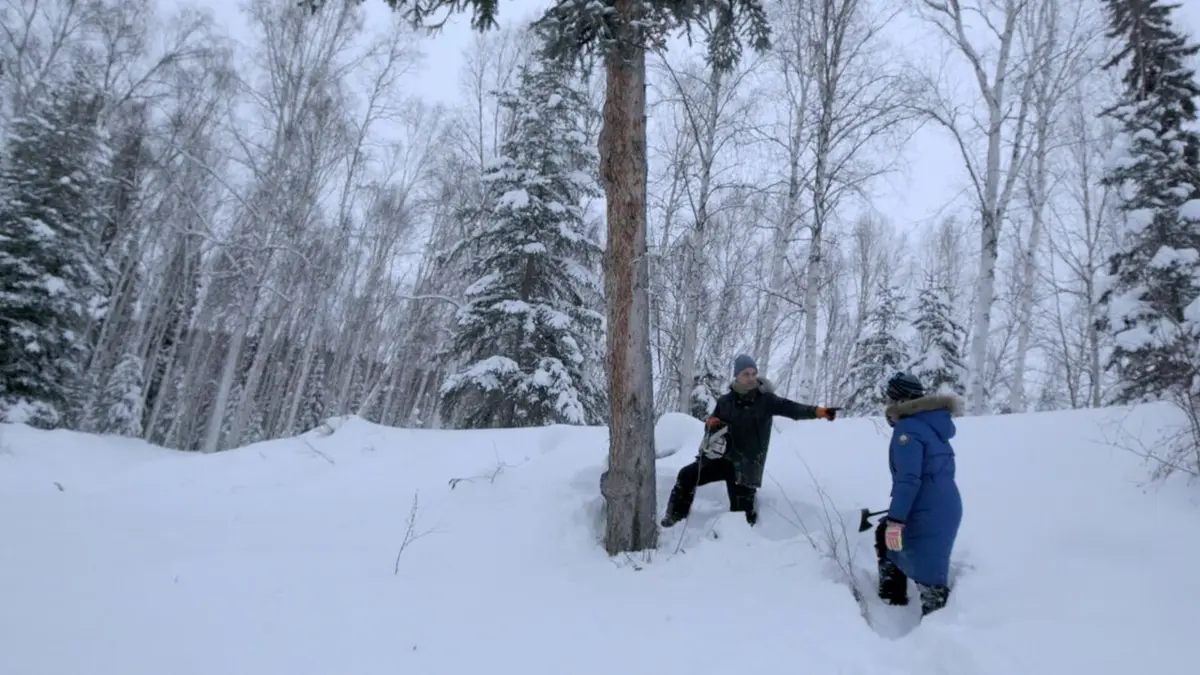 Alaska : nouvelle vie Piège en hiver