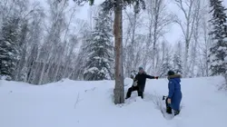 Alaska : nouvelle vie