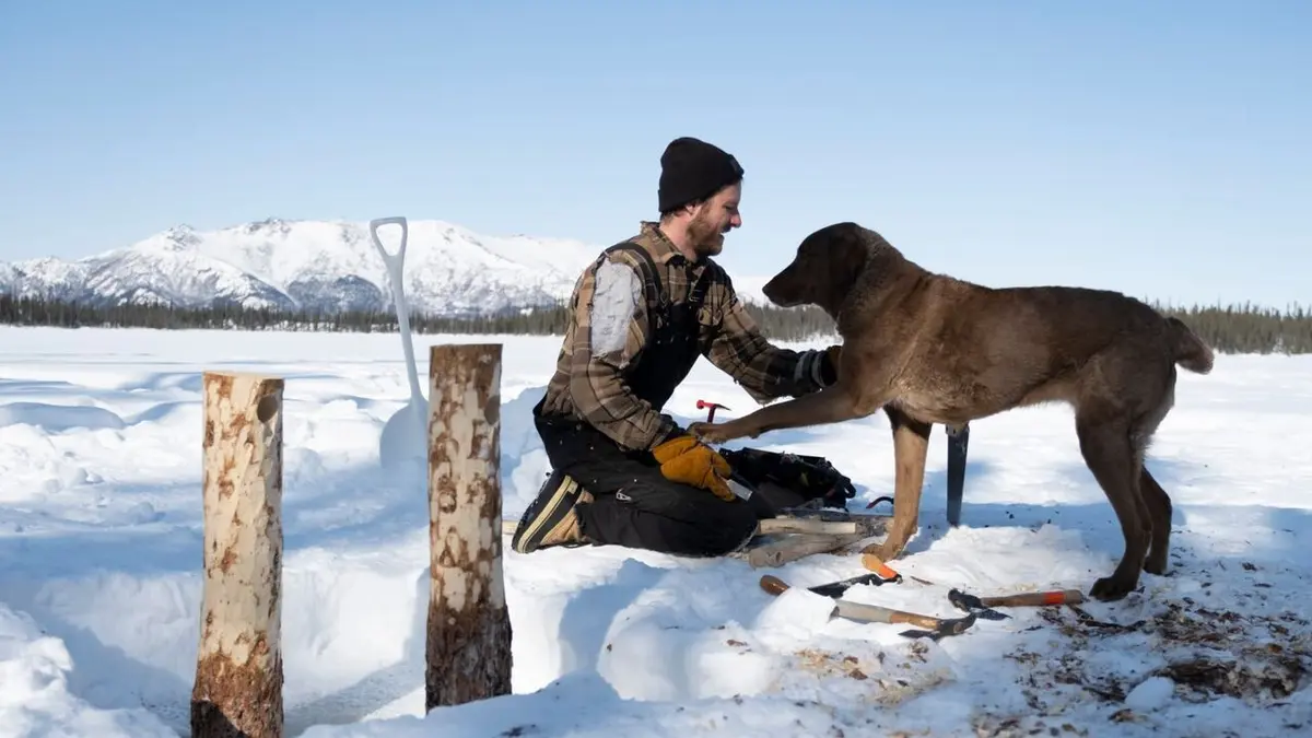 Alaska : nouvelle vie Haute tension