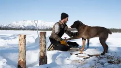 Alaska : nouvelle vie