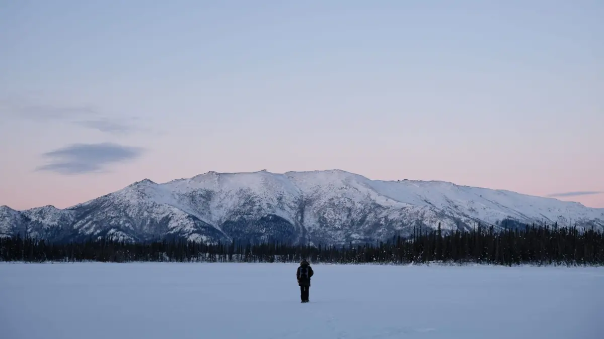 Alaska : nouvelle vie Hôtel canin
