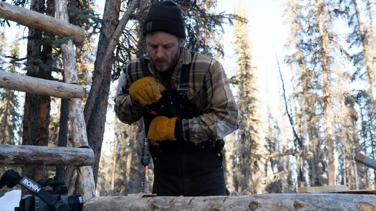 Alaska : nouvelle vie Forêt fantôme