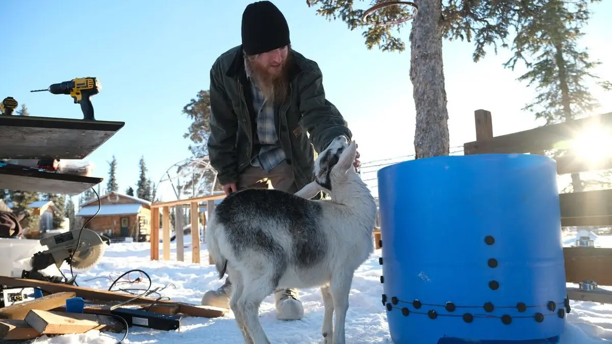 Alaska : nouvelle vie Terre sauvage