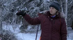 Alaska : nouvelle vie A l'avant-garde