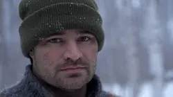 Alaska : nouvelle vie A l'abri des prédateurs