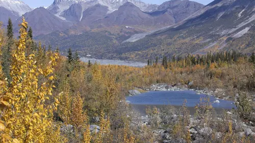 Alaska : nouvelle vie S05E19 Dons de la nature