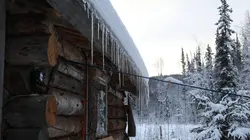 Alaska : nouvelle vie Introduction à la survie