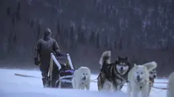 Alaska : nouvelle vie Affaire à suivre