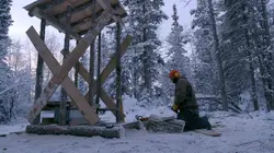 Visuel de Alaska : nouvelle vie