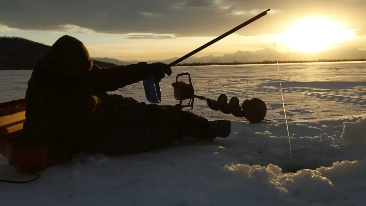 Alaska : nouvelle vie Drôle de vie