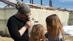 Alaska : nouvelle vie Terrain Inégal