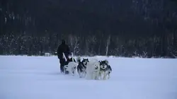 Alaska : nouvelle vie Vent de changement