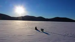 Alaska : nouvelle vie Affaire à suivre