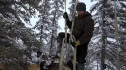 Alaska : nouvelle vie Poids mort