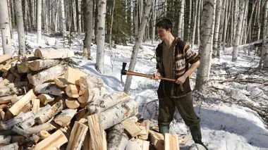 Roi de la forêt