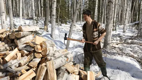 Alaska : nouvelle vie Roi de la forêt