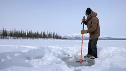 Alaska : nouvelle vie