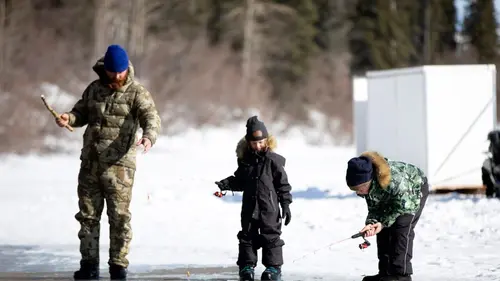 Alaska : nouvelle vie Une serre en Alaska