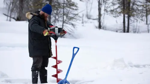 Alaska : nouvelle vie Terrain Inégal
