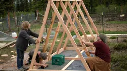 Alaska : nouvelle vie Dans son sang