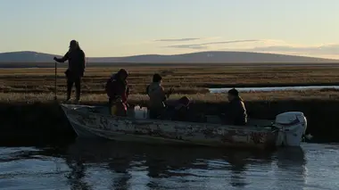 Alaska : nouvelle vie Dans le sang