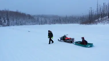 Alaska : nouvelle vie Instincts primaires