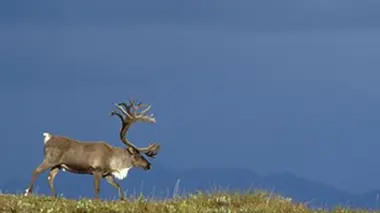 Le retour de l'été