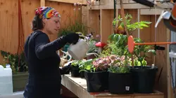 Alaska : seuls au monde Mer nourricière